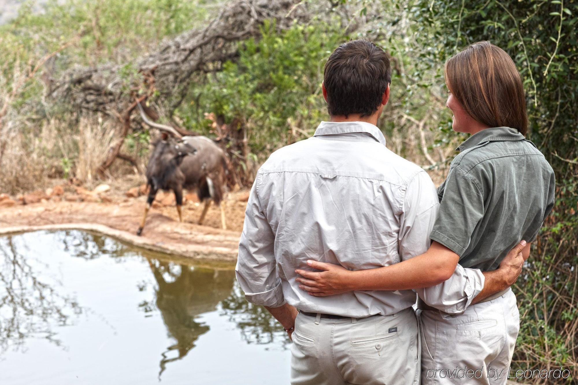 Thanda Safari Lodge *